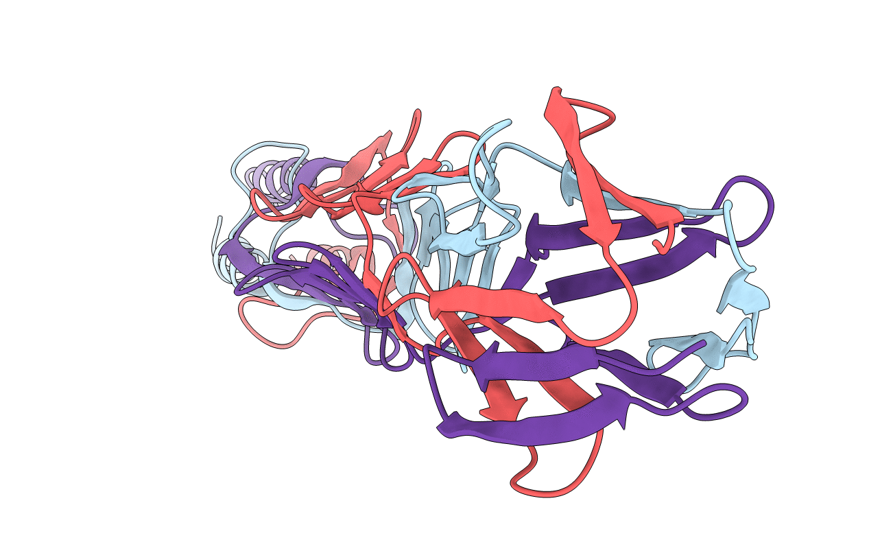 3D9X image