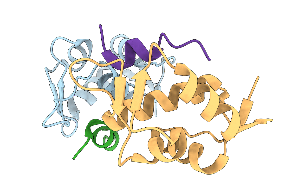 3DAC image