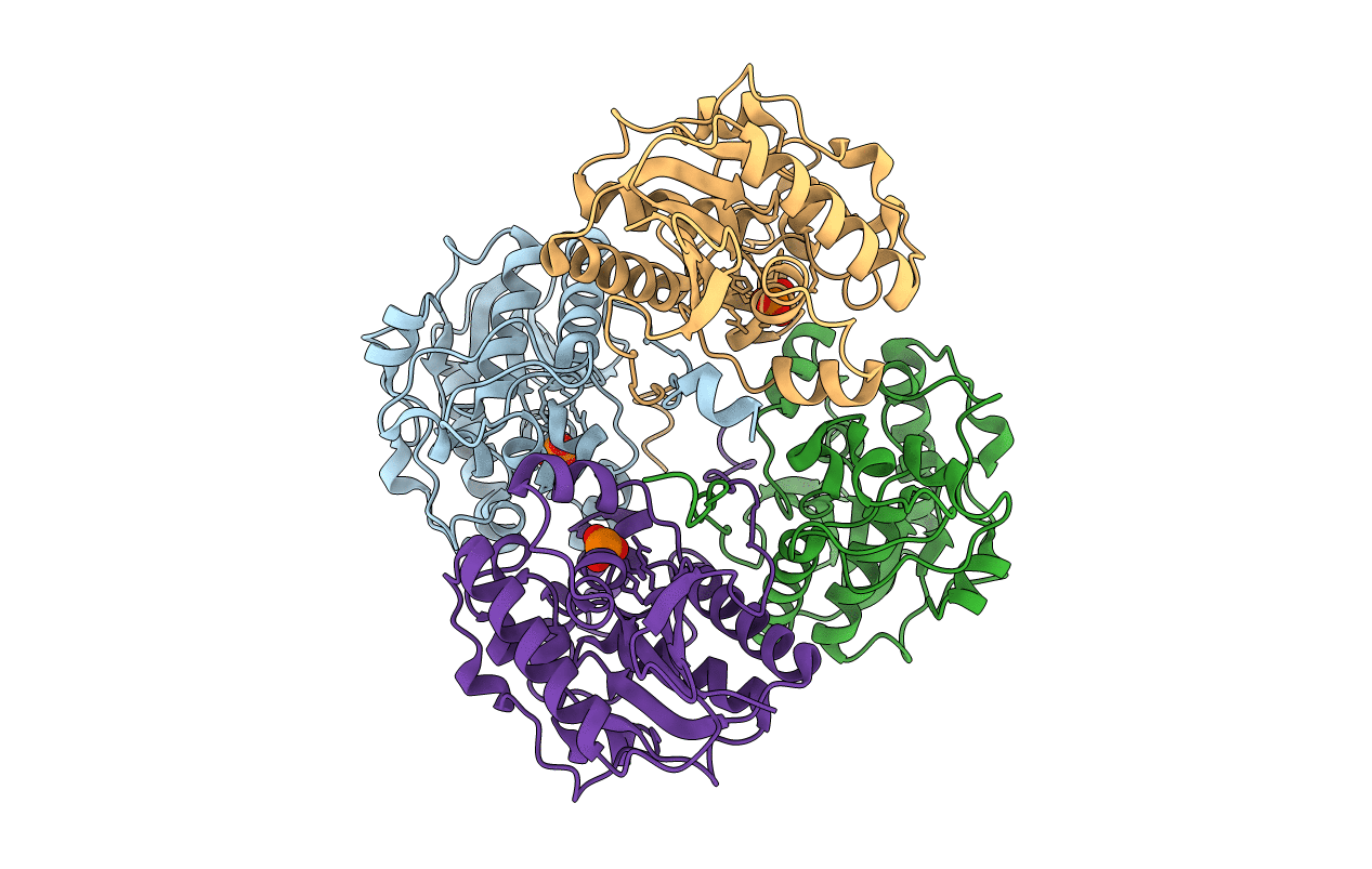 3DB1 image