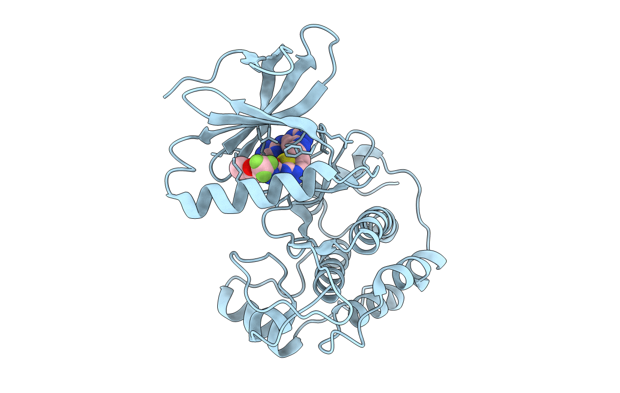 3db6 image