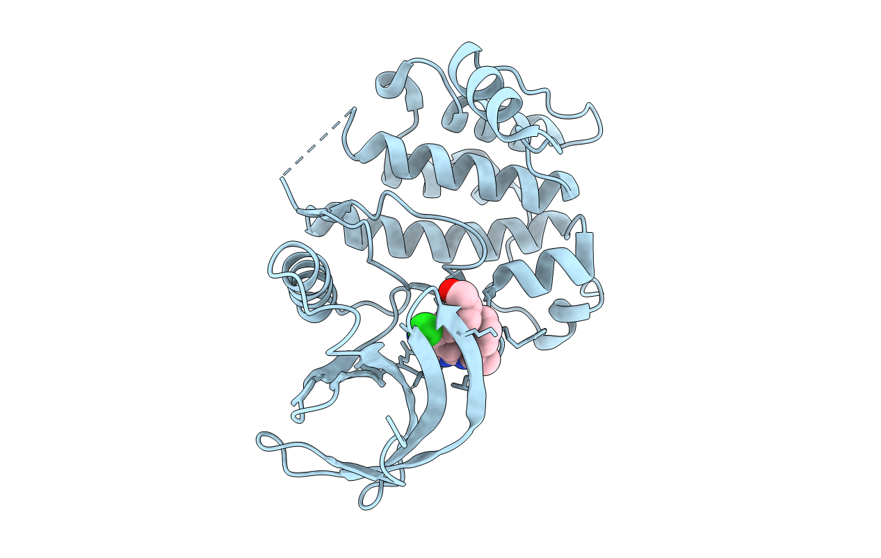 3DB8 image