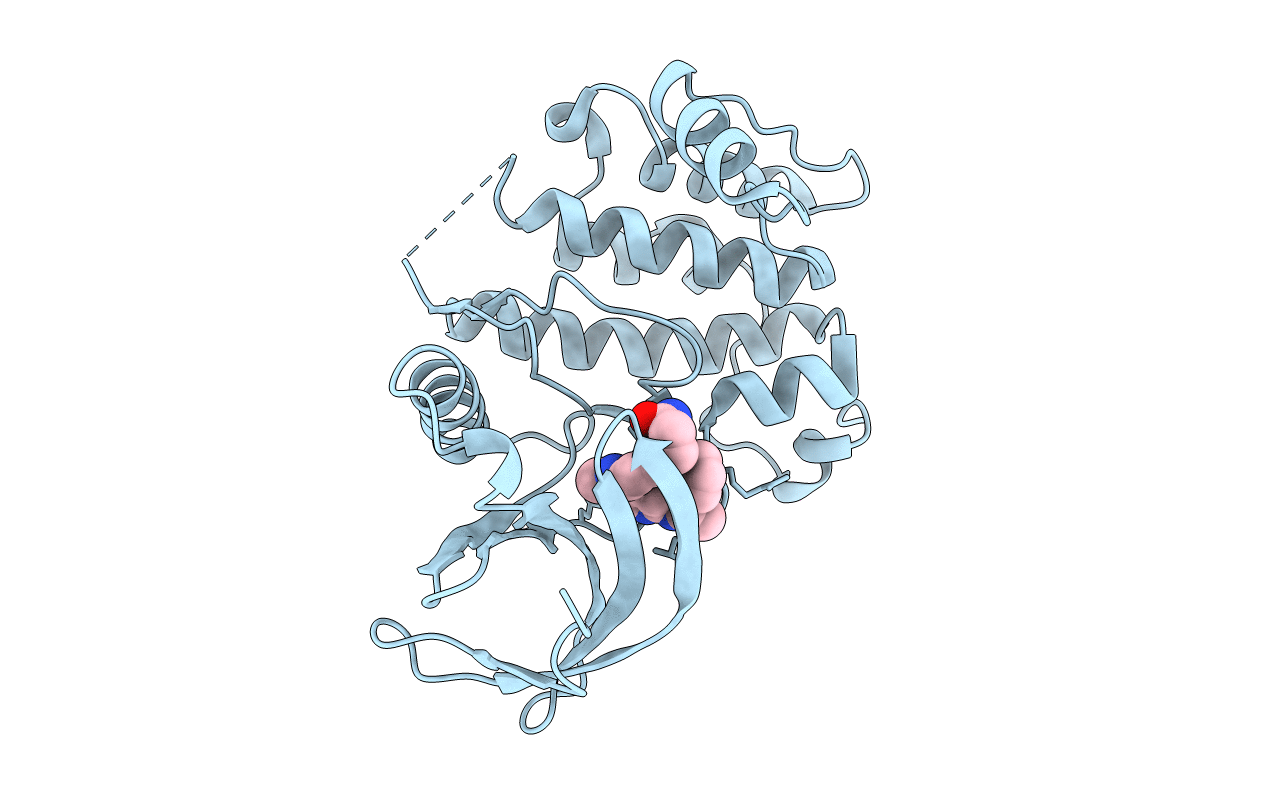 3DBC image