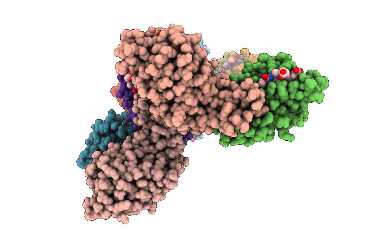 3DBJ image