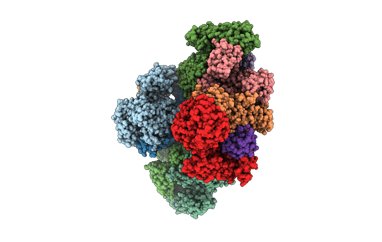 3DBL image