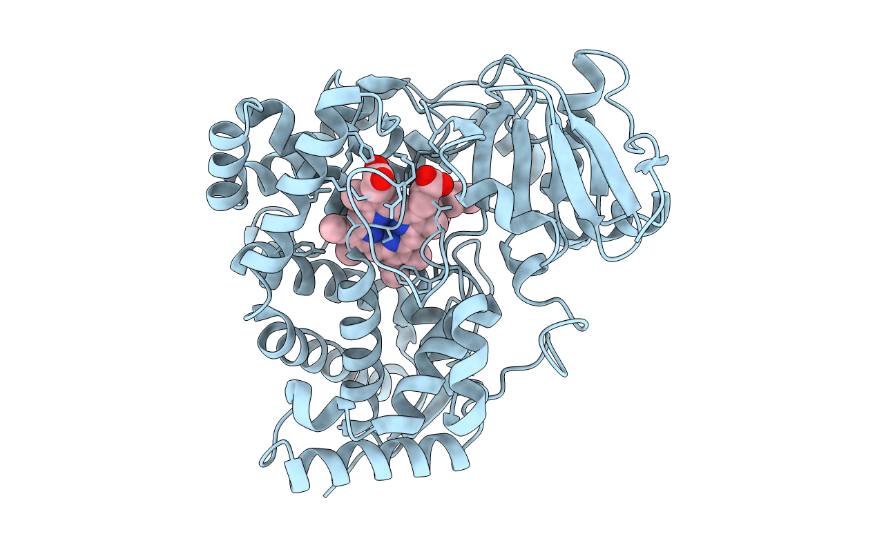 3DBM image