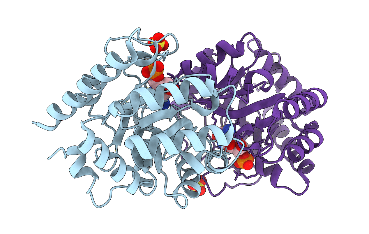 3DBP image
