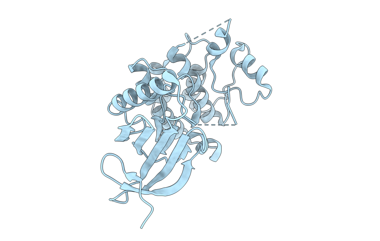 3DBQ image