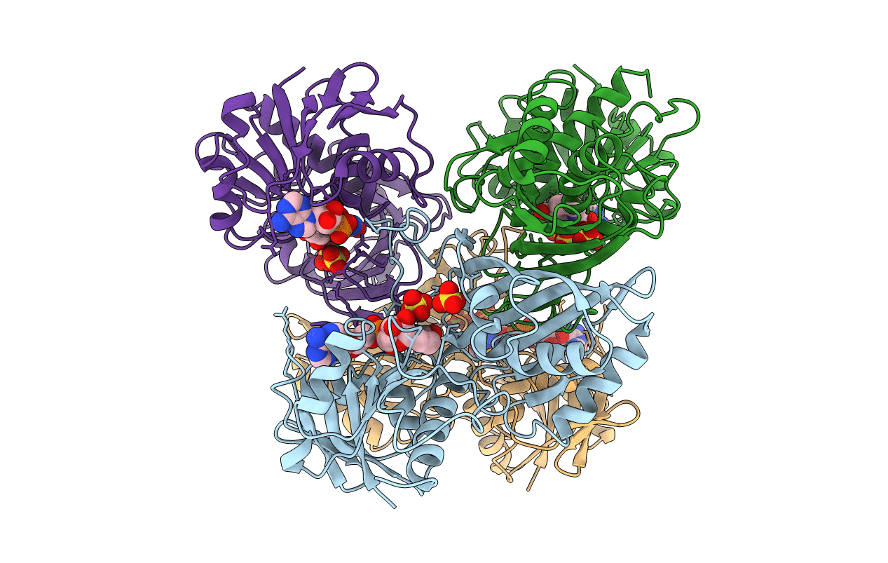 3DBV image