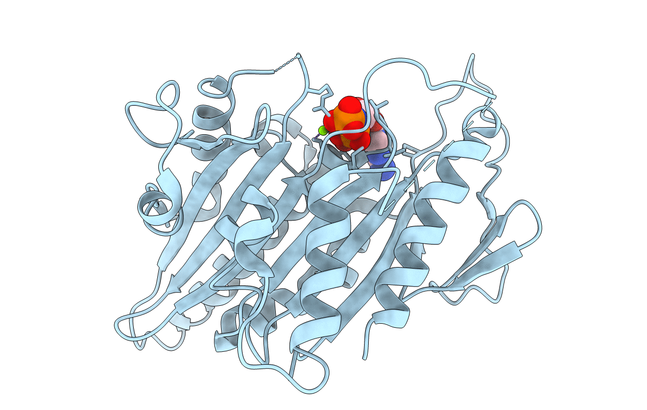 3dcb image