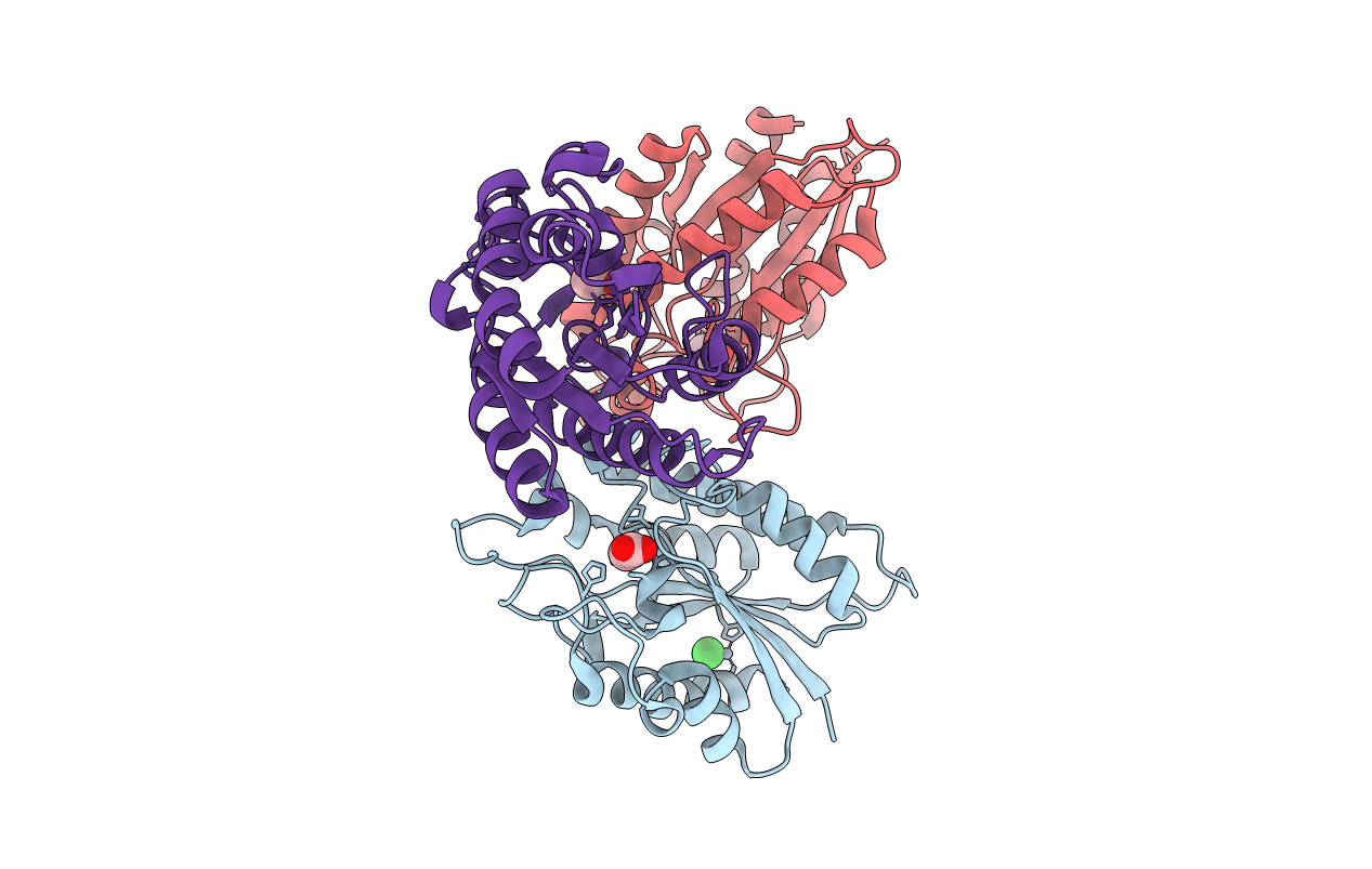 3DCI image