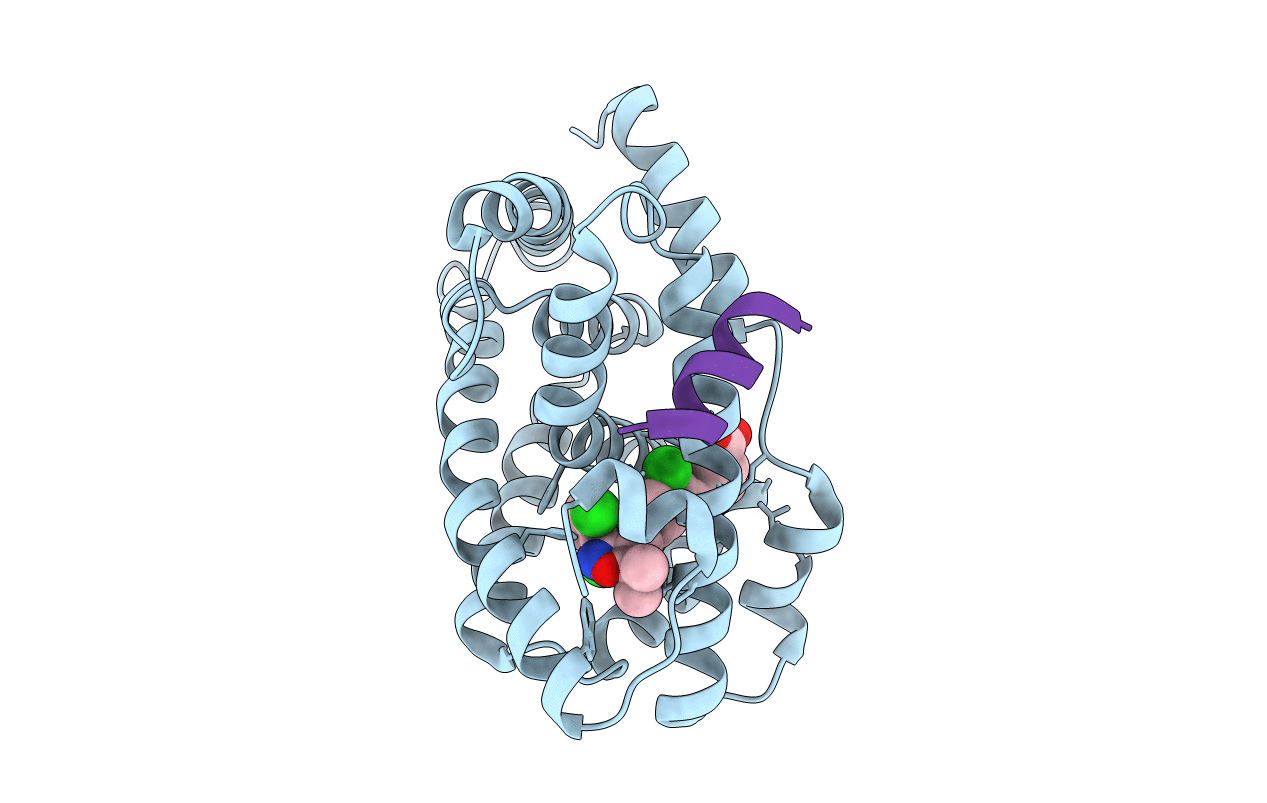 3DCT image