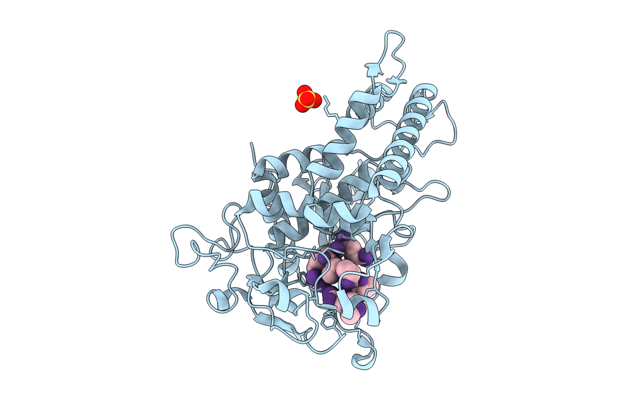 3DDA image