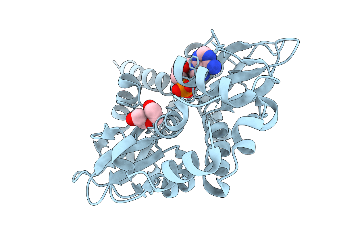 3DDJ image