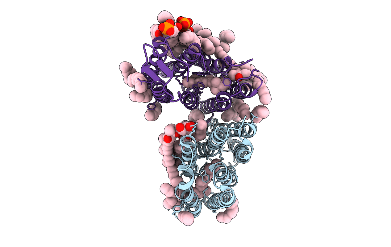 3DDL image