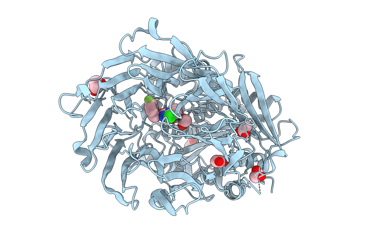3DDU image