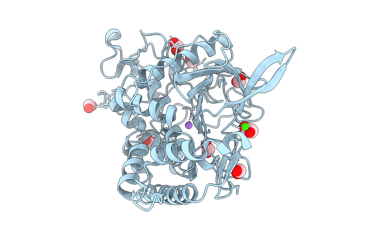 3DEB image
