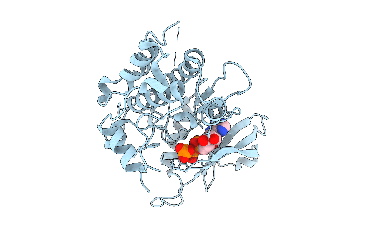 3DFC image