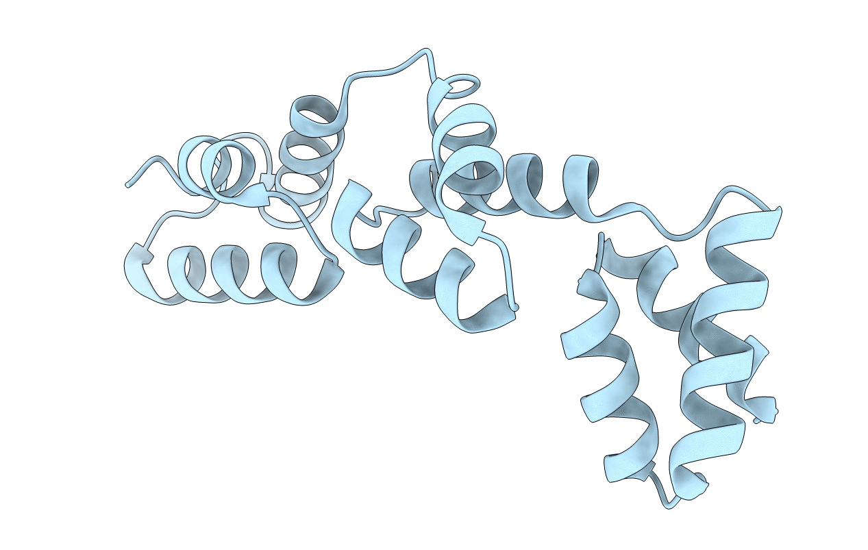 3DFG image