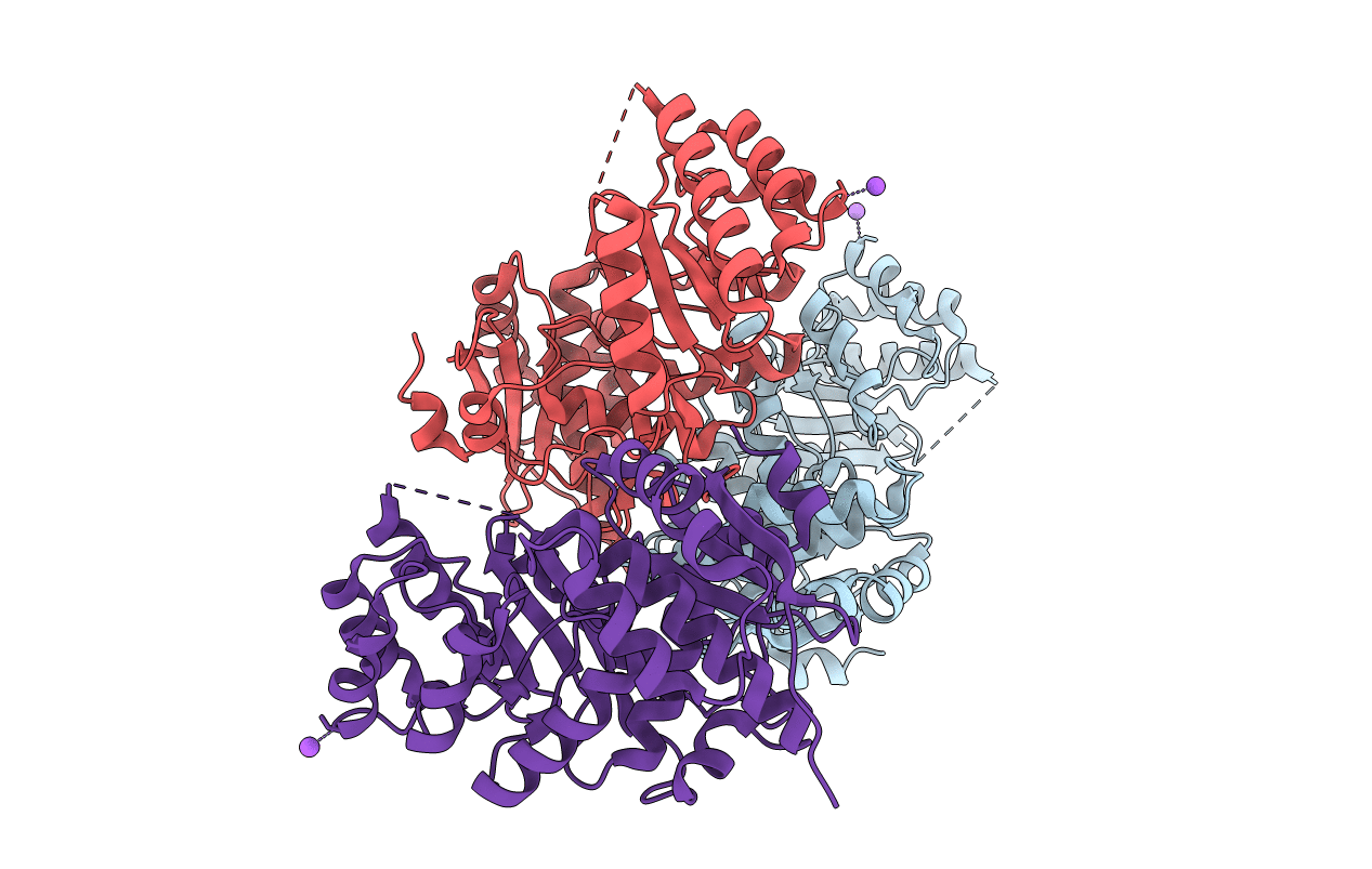 3DFH image