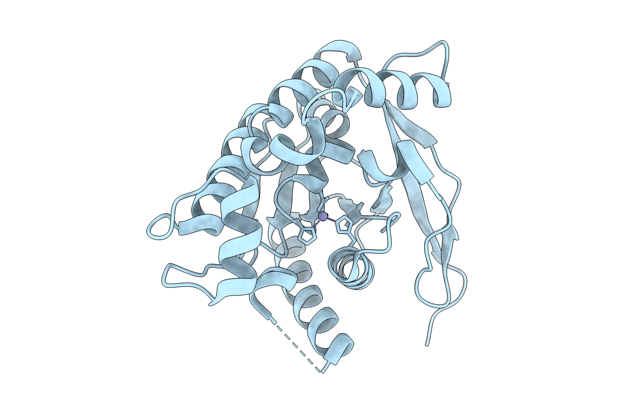 3DFI image