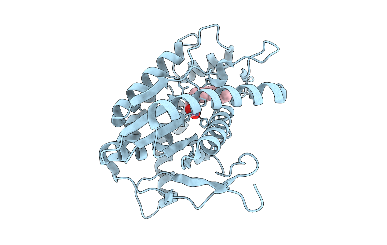 3DFK image