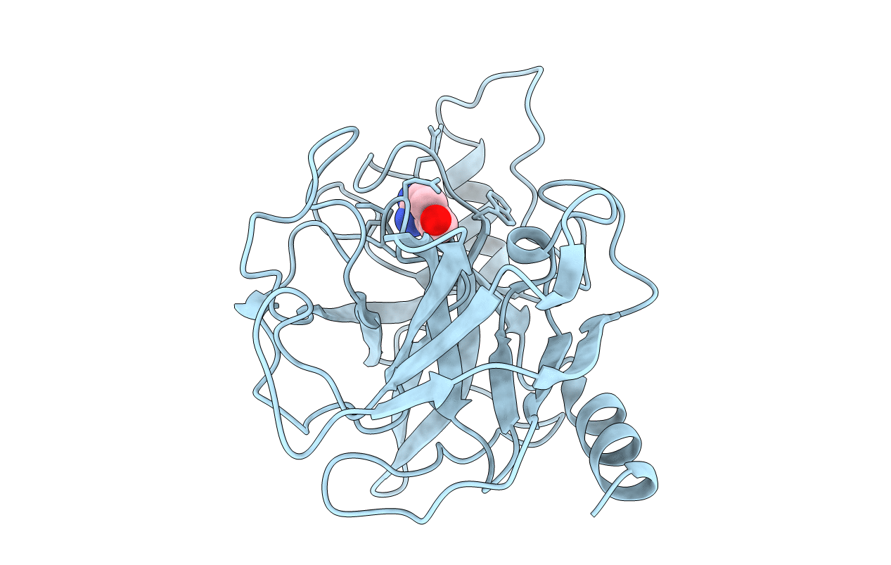 3DFL image