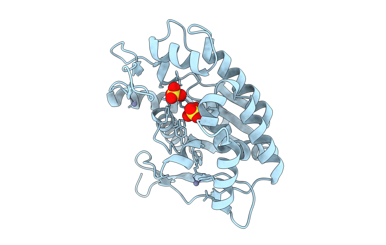 3DFM image