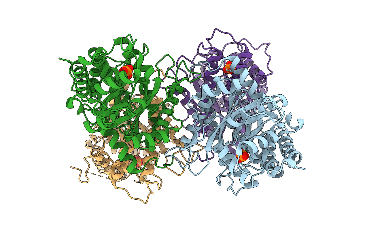 3DFT image