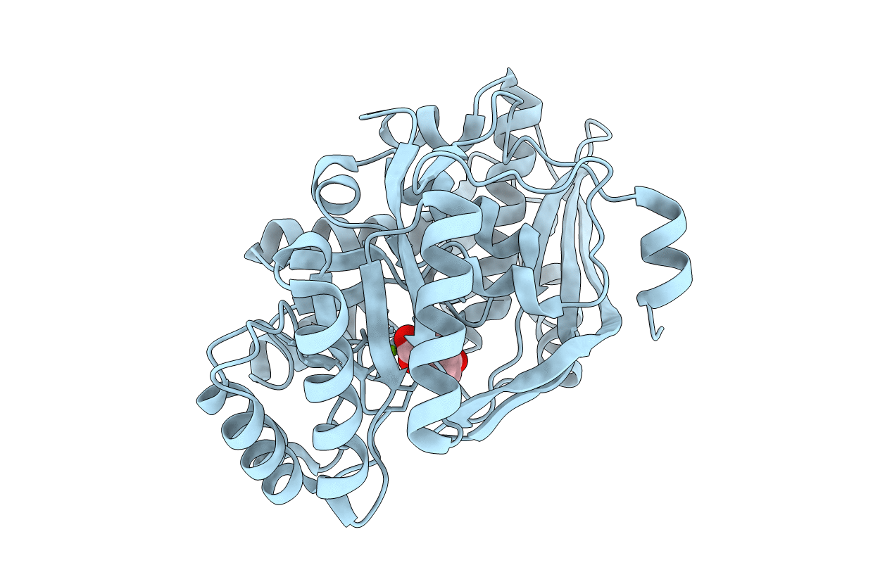 3DG6 image