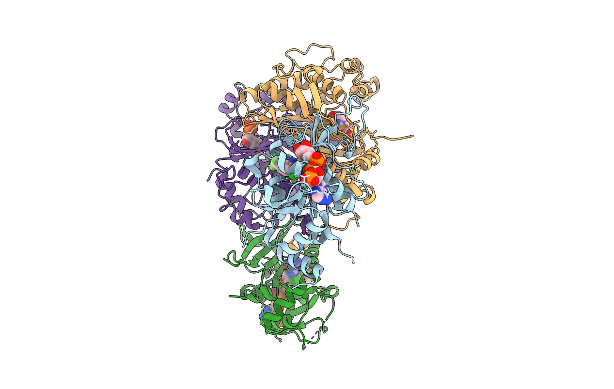 3DGA image