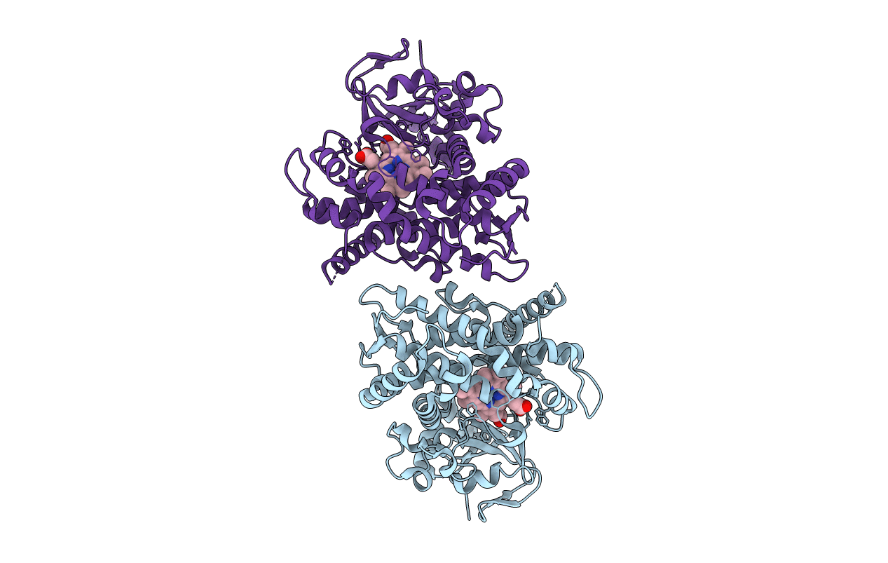 3DGI image