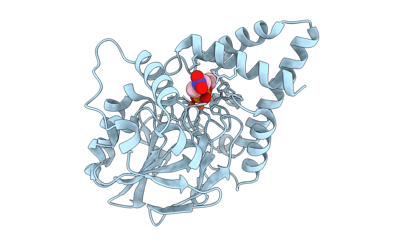 3DH8 image