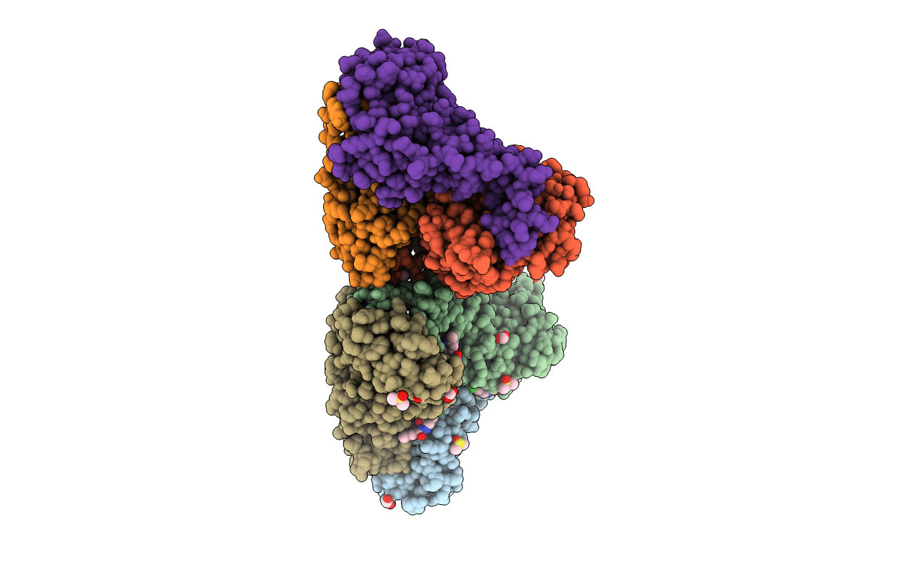 3DHO image
