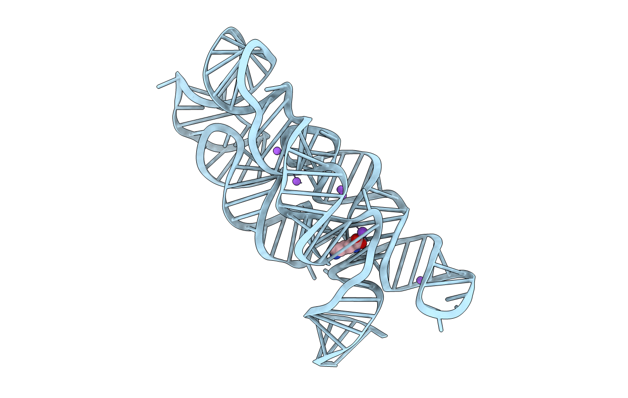 3DIX image