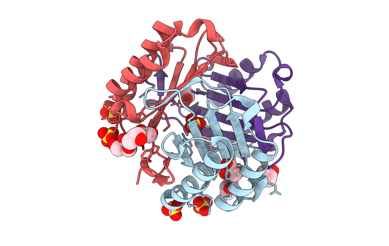 3DJH image