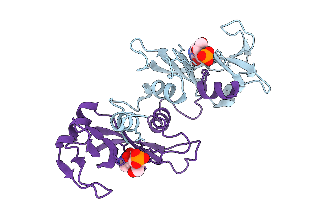 3DJV image