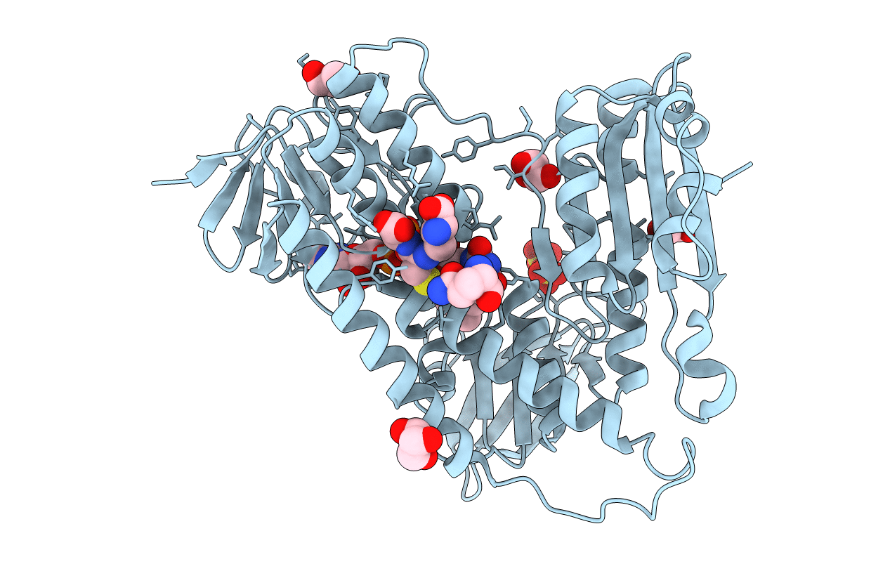 3DK8 image