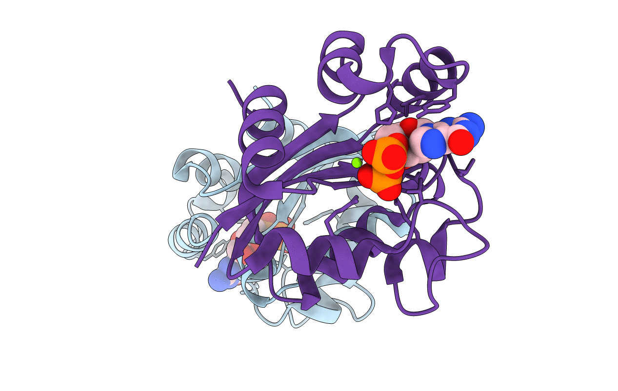 3DKD image