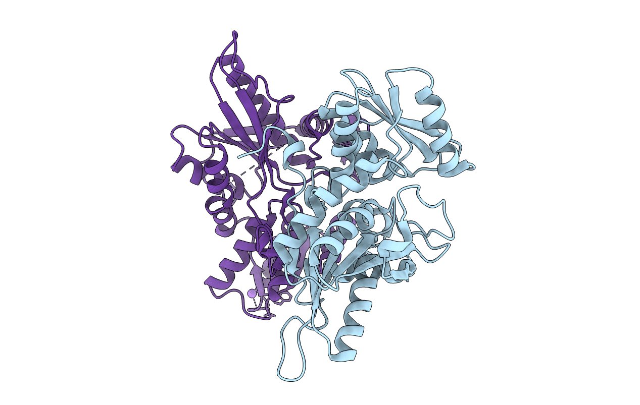 3DKI image