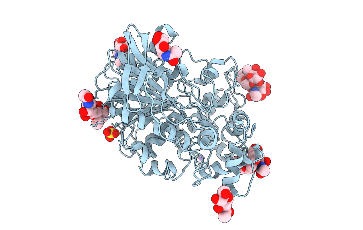 3DKK image