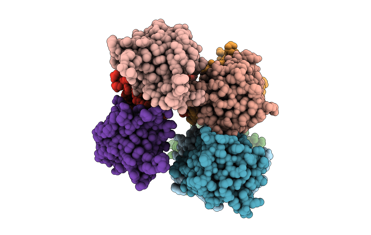 3DKU image