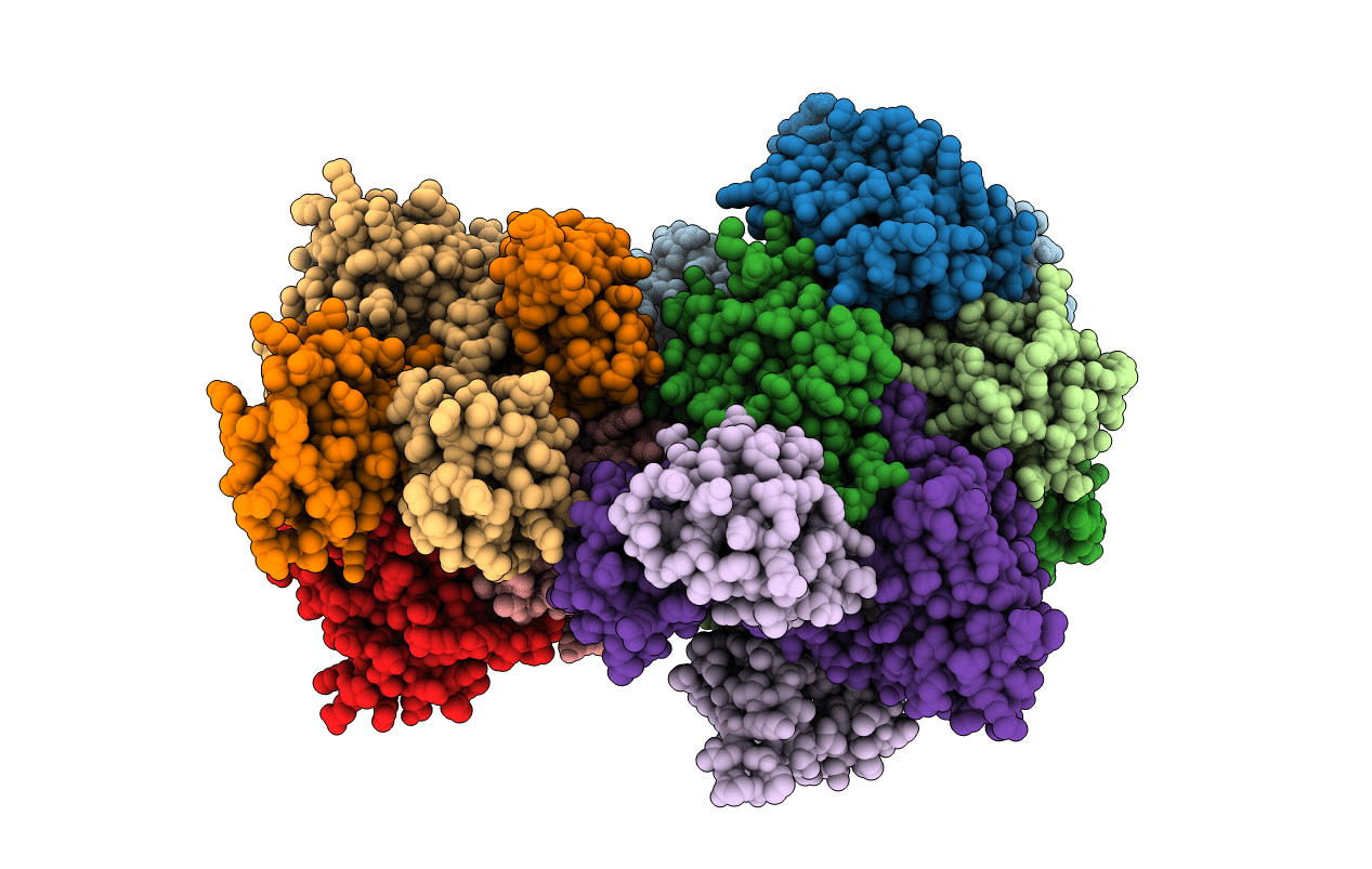 3DKW image