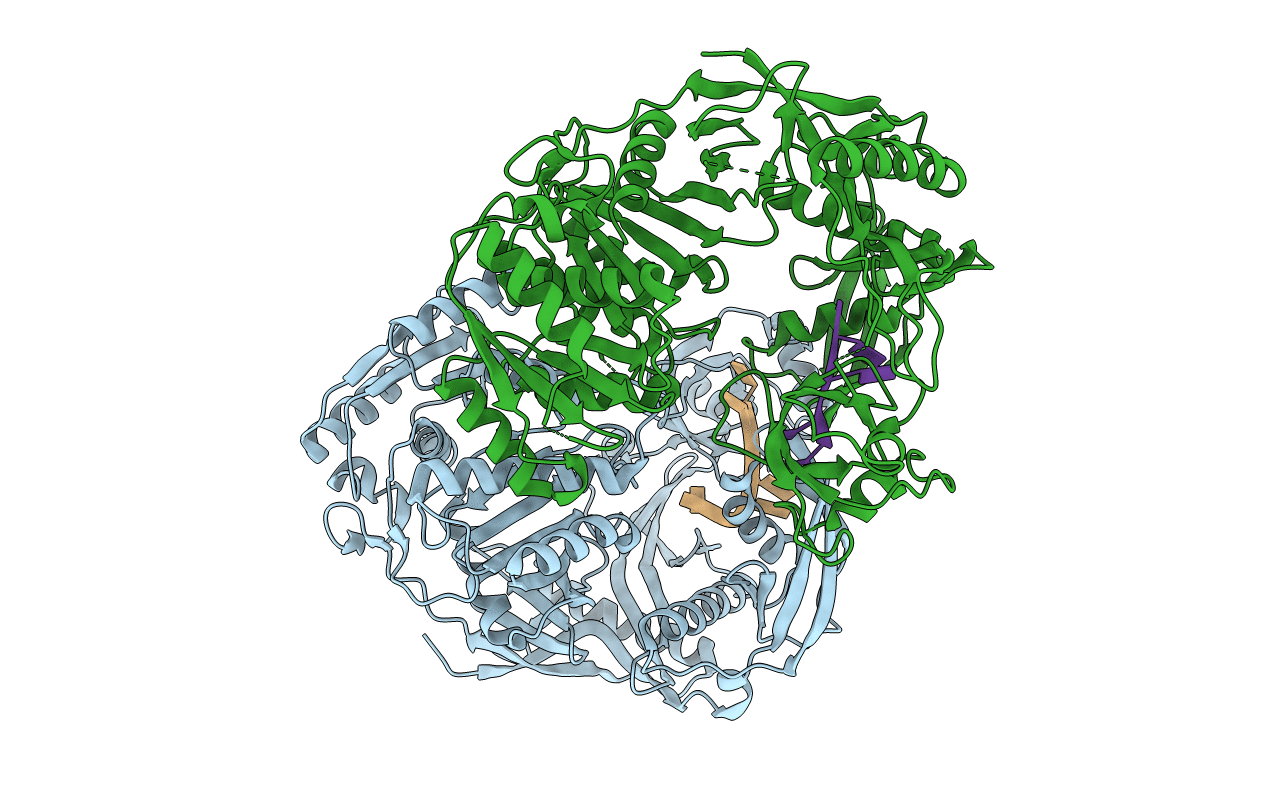 3DLB image