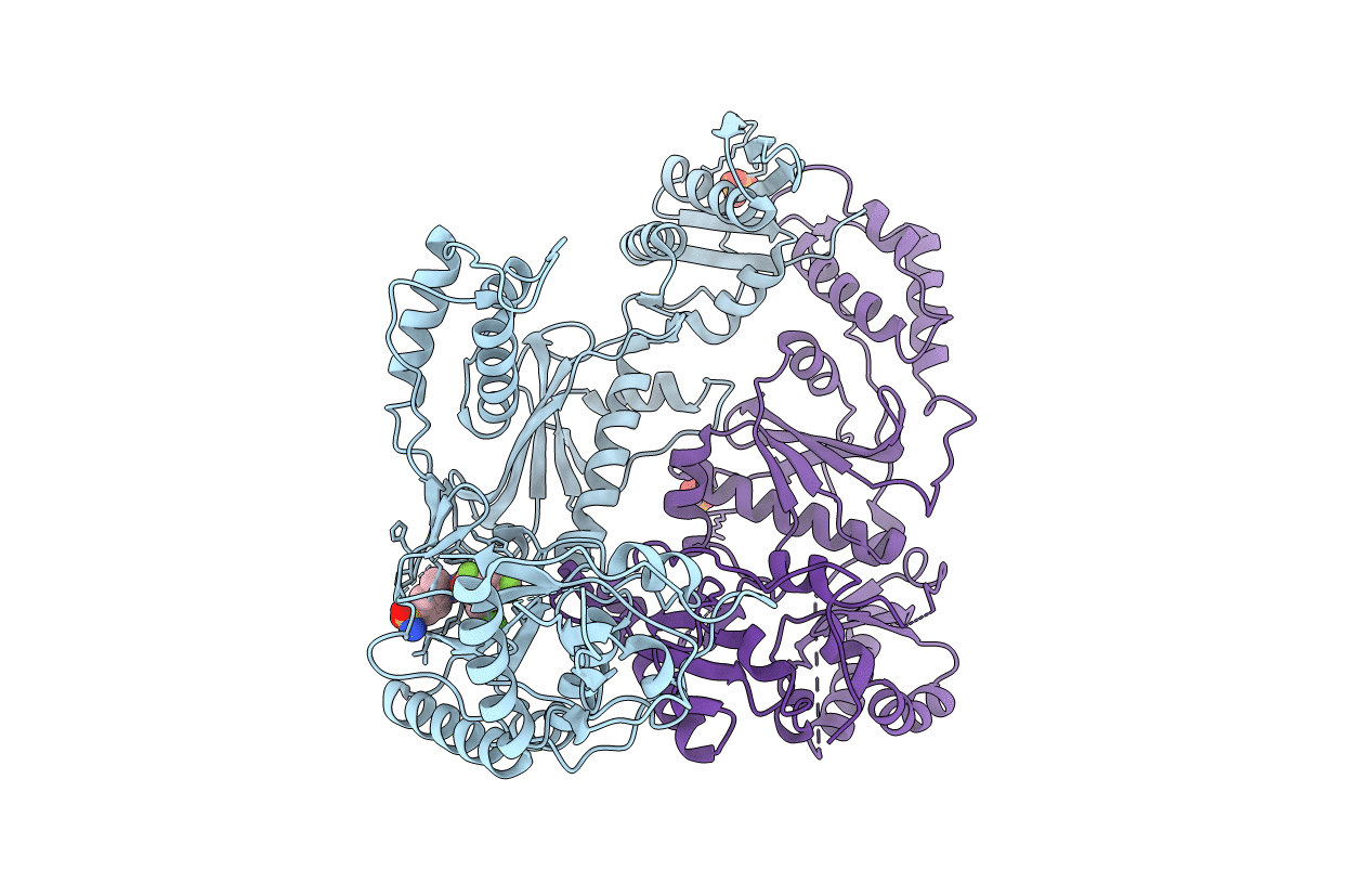 3DLG image