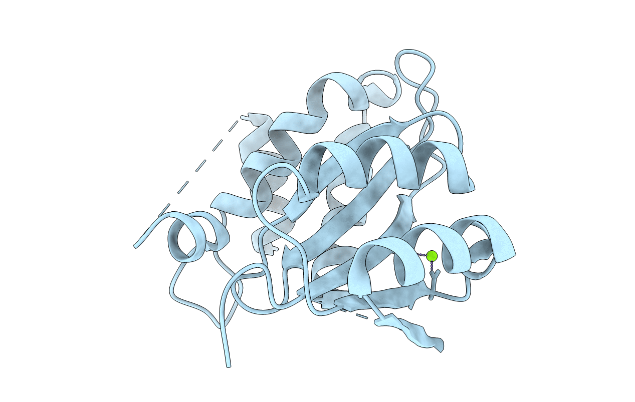 3DLR image