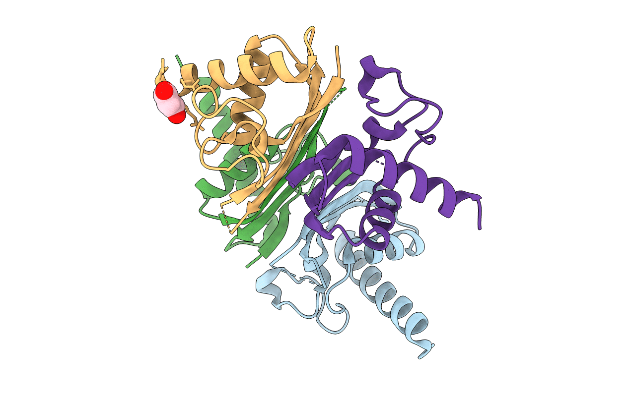 3DLU image