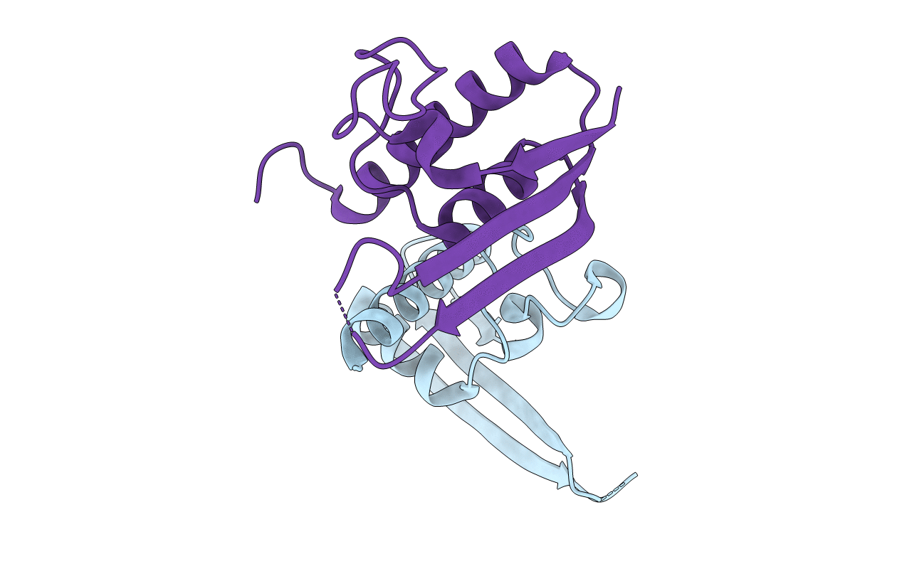 3DLV image