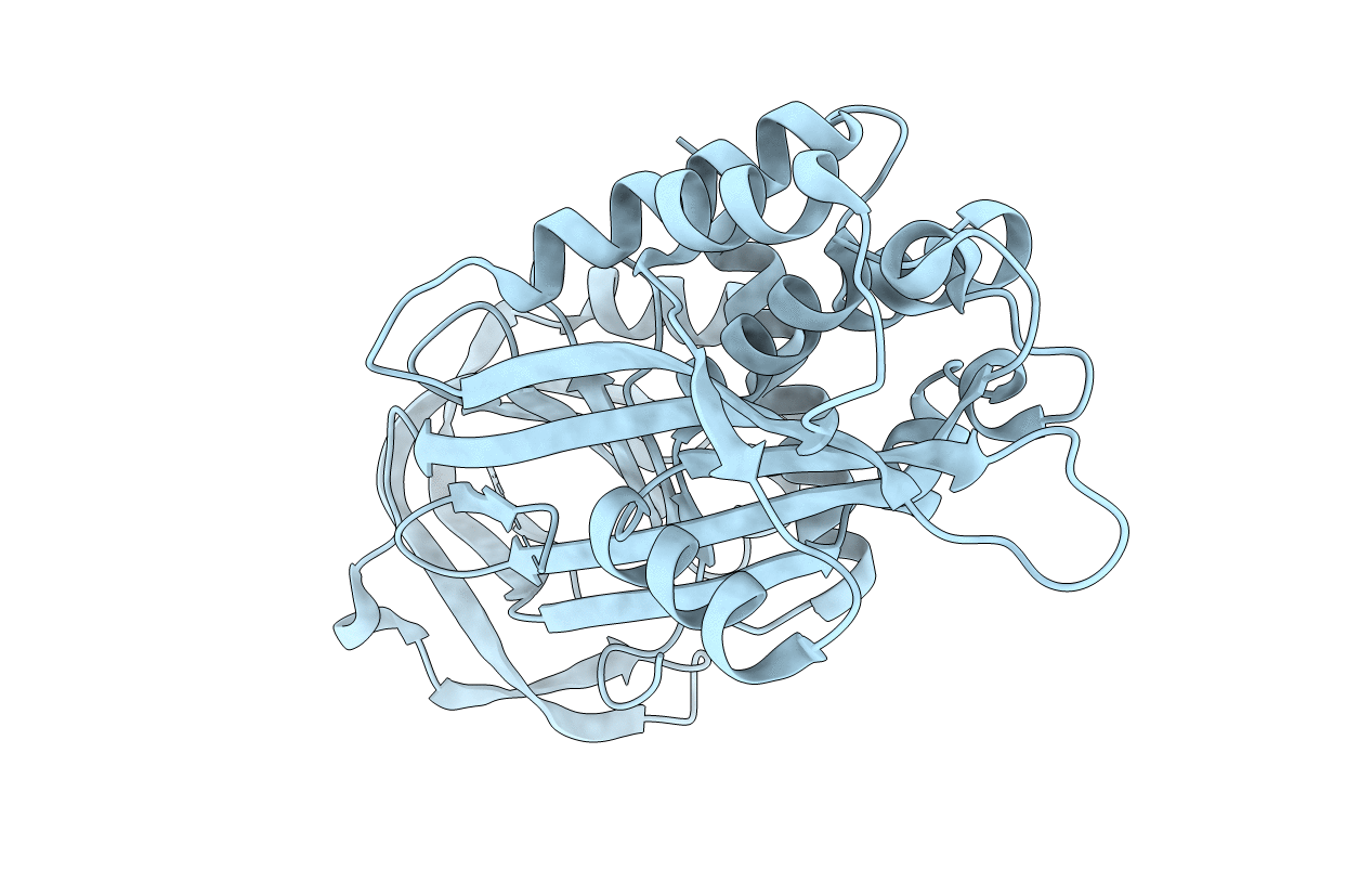 3DLW image