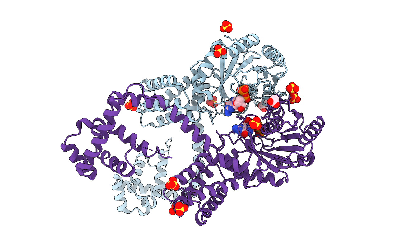 3DM5 image