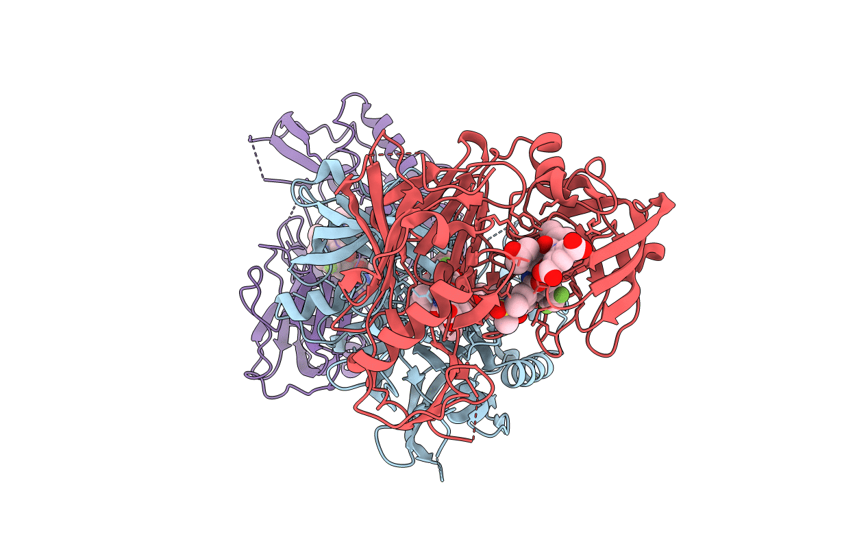 3DM6 image